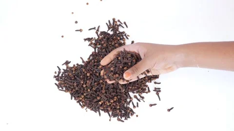 Micro shot of picking cloves from heap of cloves Stock Footage 147691831