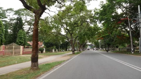 Micro shot of two lane road with trees on both sides Vídeo Stock 156974108