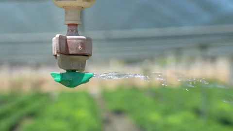 Micro sprinkler nozzle spraying water with dripping droplet in greenhouse Видео 341755747