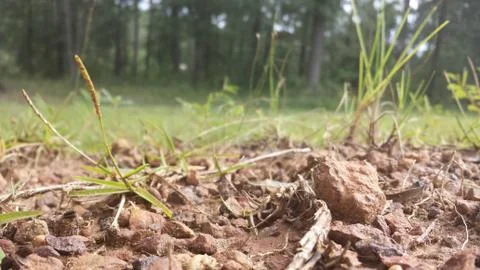 Micro Terrain Stock-Fotos