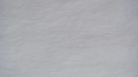 Micro texture of the snow surface. Snow that has fallen all over. Snow that has Stock Footage 172399848