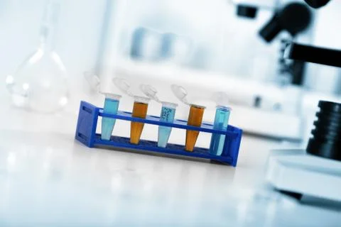 Micro tubes with biological samples in laboratory for dna analysis Foto stock