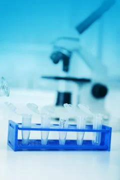 Micro tubes with biological samples in laboratory for dna analysis Stock Photos