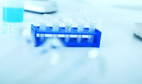 Micro tubes with biological samples in laboratory for dna analysis Stock Photos