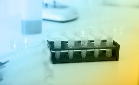 Micro tubes with biological samples in laboratory Stock Photos