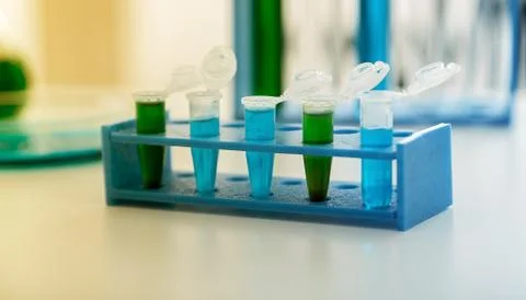 Micro tubes with biological samples in laboratory for DNA analysis Stock Photos
