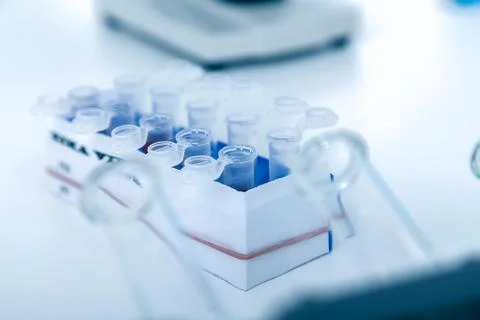 Micro tubes with  Blood sample positive with Zika virus Stock Photos
