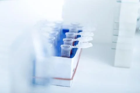 Micro tubes with  Blood sample positive with Zika virus Stock Photos