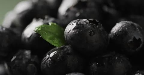 Micro video of close up of blueberries with copy space Stock Footage 331295281
