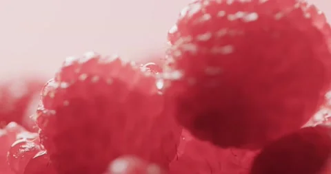 Micro video of close up of raspberries with copy space Stock Footage 248753592