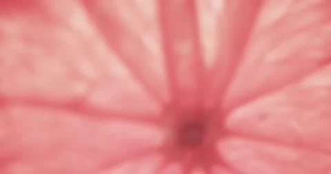 Micro video of close up of red grapefruit slice with copy space Stock Footage 331246525