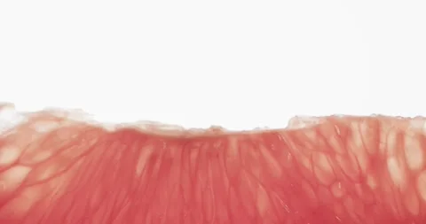 Micro video of close up of red grapefruit slice with copy space on white Stock Footage 331246534