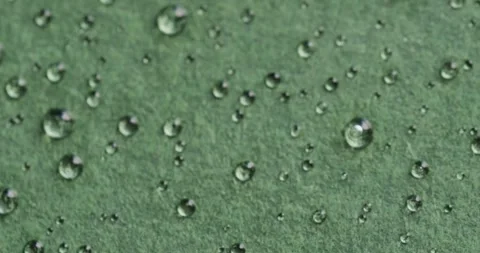 Micro video of close up of water drops with copy space on green background Stock Footage 331307385