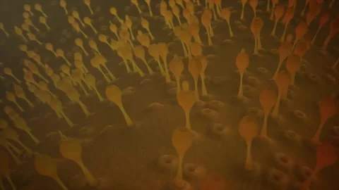 The Micro World of Viruses and Bacteria Stock Footage 264736893