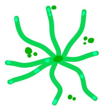 Microalgae. Aquatic organisms and bacteria. Green phytoplankton. Stock Illustration