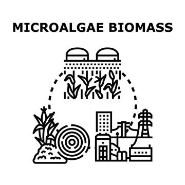 Microalgae biomass production and renewable energy cycle Stock Illustration