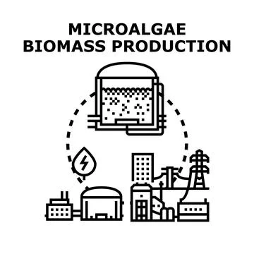 Microalgae biomass production for renewable energy cycle Stock-Illustration
