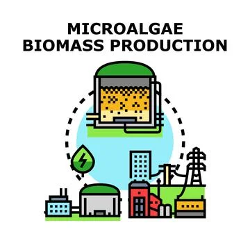 Microalgae biomass production for renewable energy cycle Stock-Illustration