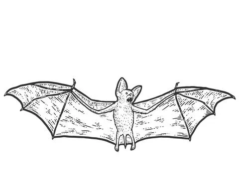 Microbat. Sketch scratch board imitation. Black and white. Stock Illustration