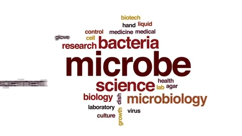 Microbe animated word cloud, text design animation. Stock Footage 74977441