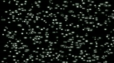Microbe array background drugs egg underwater ephemera plankton feed spore. Stock Footage 826129