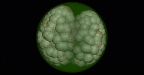 Microbe, bacteria, parasite, pathogen, cell division Stock Footage 66644205