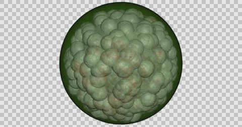 Microbe, bacteria, parasite, pathogen, cell cluster Stock Footage 66646638