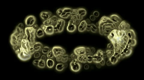 Microbe cells and virus,bubble and blister. Vídeos de archivo 2976025