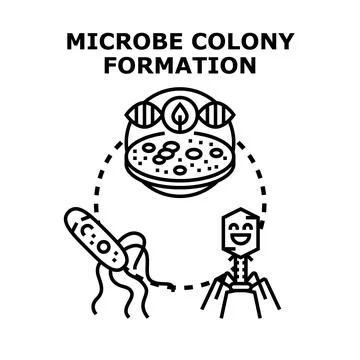Microbe colony formation developing in laboratory petri dish Illustrazione stock