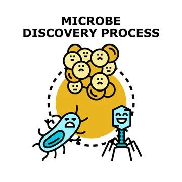 Microbe discovery process and antimicrobial resistance research Stock Illustration