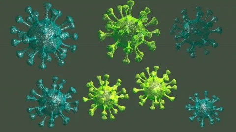 Microbe. Stock Footage 777219