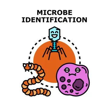 Microbe organism identification research vector illustration Stock Illustration