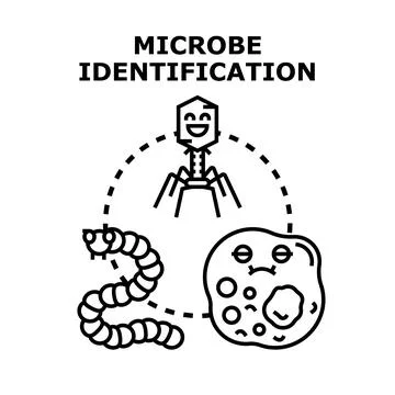 Microbe organism identification research vector illustration Stock Illustration