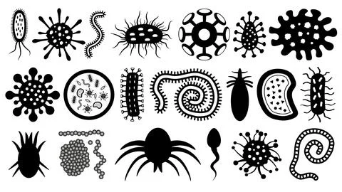 Microbe, parasite, bacterium, worm, virus, sperm, vector silhouette set. Micr Stock Illustration
