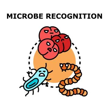 Microbe recognition concept detecting pathogenic microorganisms Stock Illustration