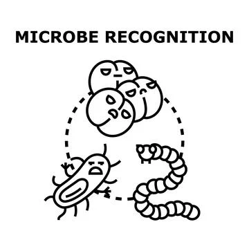 Microbe recognition concept detecting pathogenic microorganisms Stock Illustration