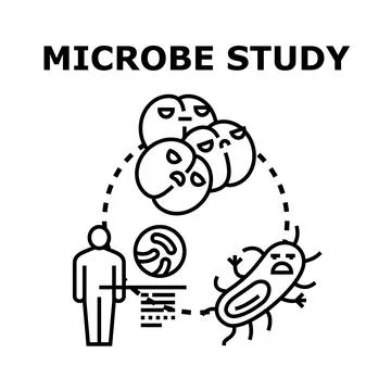 Microbe study vector icon exploring pathogen interaction Stock Illustration