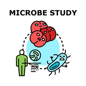 Microbe study vector icon exploring pathogen interaction Stock Illustration