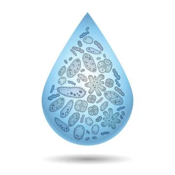 Microbes, bacteria and virus in drop of dirty water, infection illustration. Stock Illustration