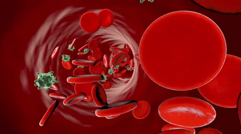 Microbes in a Bloodstream Stock Footage 68596374