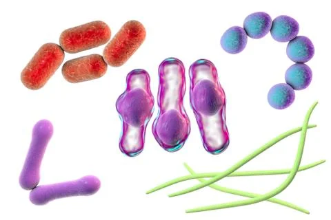 Microbes of different shapes Illustrazione stock