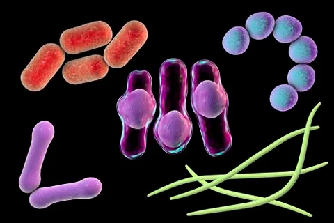 Microbes of different shapes Illustrazione stock