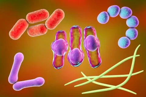 Microbes of different shapes Stock Illustration