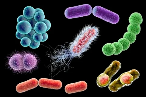 Microbes of different shapes Illustrazione stock