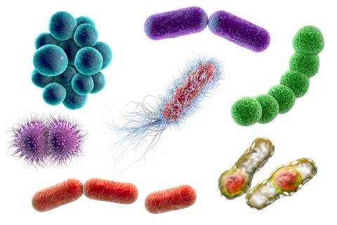 Microbes of different shapes Illustrazione stock