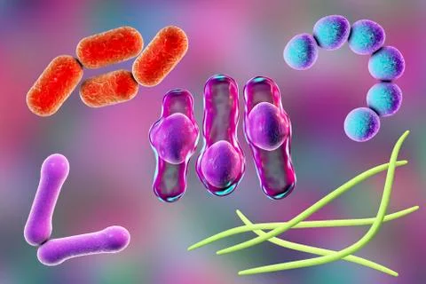 Microbes of different shapes Illustrazione stock