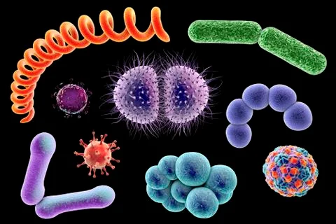Microbes of different shapes Illustrazione stock