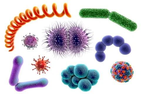 Microbes of different shapes Illustrazione stock