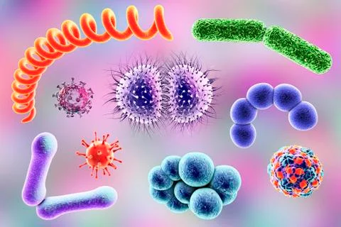 Microbes of different shapes Illustrazione stock
