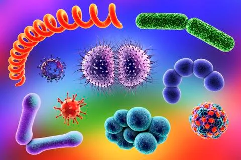 Microbes of different shapes Illustrazione stock